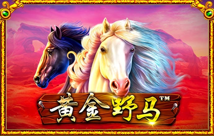 大众娱乐登录入口官网